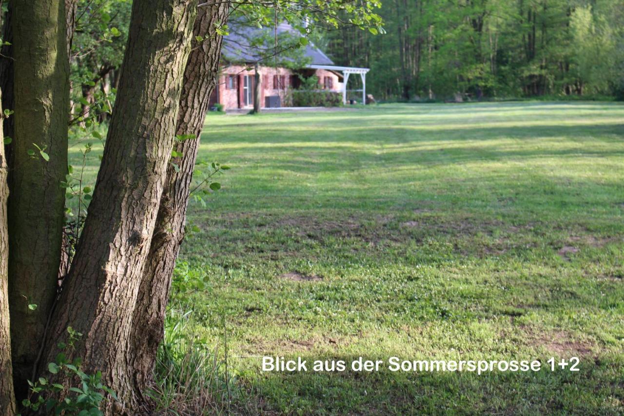 Sommersprosse Burg  Buitenkant foto